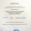 Powiększ obraz: certificate 13