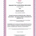 Powiększ obraz: certificate 28