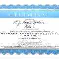 Powiększ obraz: certificate 4