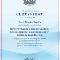 Powiększ obraz: certificate 5