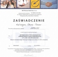 Powiększ obraz: certificate 43