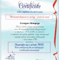 Powiększ obraz: certificate 3