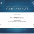 Powiększ obraz: certificate 2