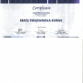 Powiększ obraz: certificate 64
