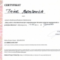 Powiększ obraz: certificate 9