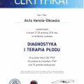 Powiększ obraz: certificate 23