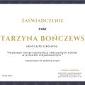Powiększ obraz: certificate 2