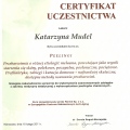 Powiększ obraz: certificate 8