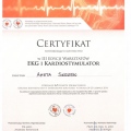 Powiększ obraz: certificate 8