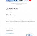 Powiększ obraz: certificate 15