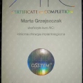 Powiększ obraz: certificate 4