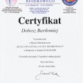 Powiększ obraz: certificate 26