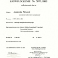 Powiększ obraz: certificate 7