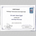 Powiększ obraz: certificate 10