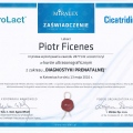 Powiększ obraz: certificate 3