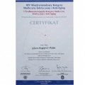 Powiększ obraz: certificate 30