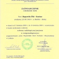 Powiększ obraz: certificate 3