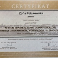 Powiększ obraz: certificate 24