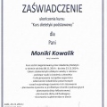 Powiększ obraz: certificate 4