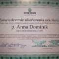 Powiększ obraz: certificate 4
