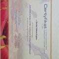 Powiększ obraz: certificate 4