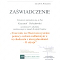 Powiększ obraz: certificate 4