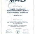 Powiększ obraz: certificate 6
