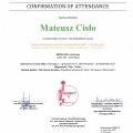 Powiększ obraz: certificate 15