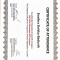 Powiększ obraz: certificate 1