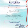Powiększ obraz: certificate 2