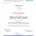 Powiększ obraz: certificate 5