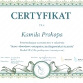 Powiększ obraz: certificate 9