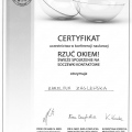 Powiększ obraz: certificate 13