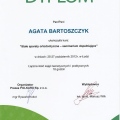 Powiększ obraz: certificate 55