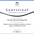 Powiększ obraz: certificate 9