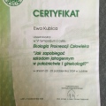 Powiększ obraz: certificate 19