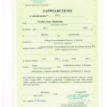 Powiększ obraz: certificate 19