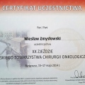 Powiększ obraz: certificate 12