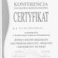 Powiększ obraz: certificate 9