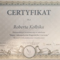 Powiększ obraz: certificate 6