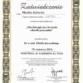 Powiększ obraz: certificate 12