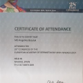 Powiększ obraz: certificate 3