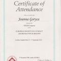 Powiększ obraz: certificate 3