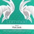 Powiększ obraz: certificate 32