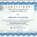 Powiększ obraz: certificate 4