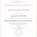 Powiększ obraz: certificate 3