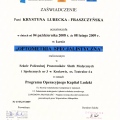 Powiększ obraz: certificate 3