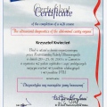 Powiększ obraz: certificate 1