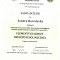 Powiększ obraz: certificate 4