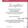 Powiększ obraz: certificate 19